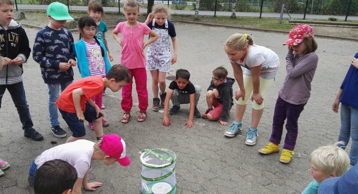 Wir züchten Schmetterlinge 3