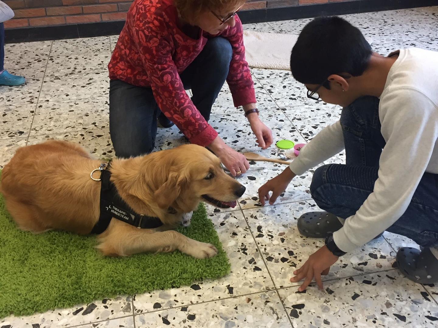 Soziales Lernen mit Hund 3