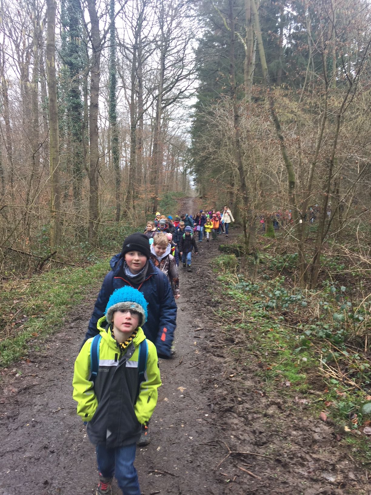 Pinocchio 4 Pinocchio 4