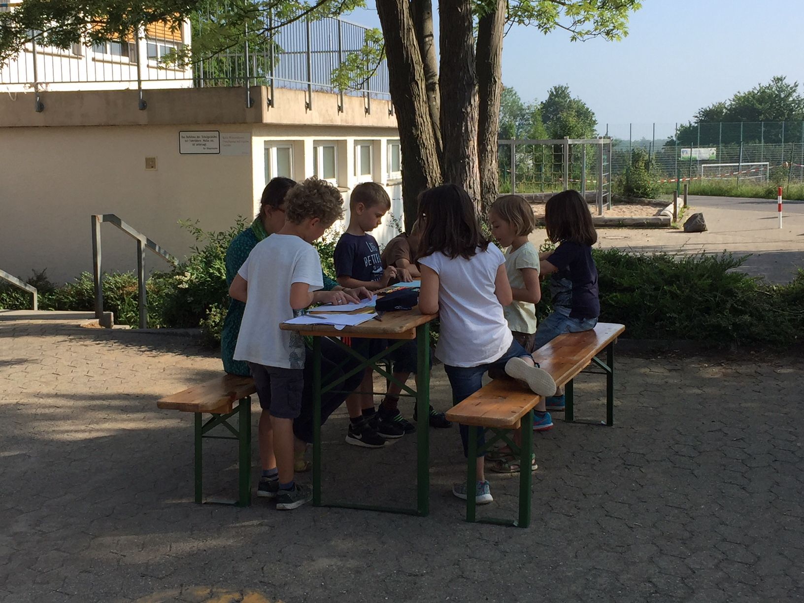 Unterricht im Grünen 1