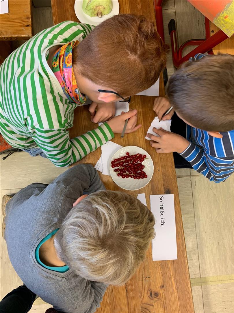 Geschmäcker sind verschieden 2