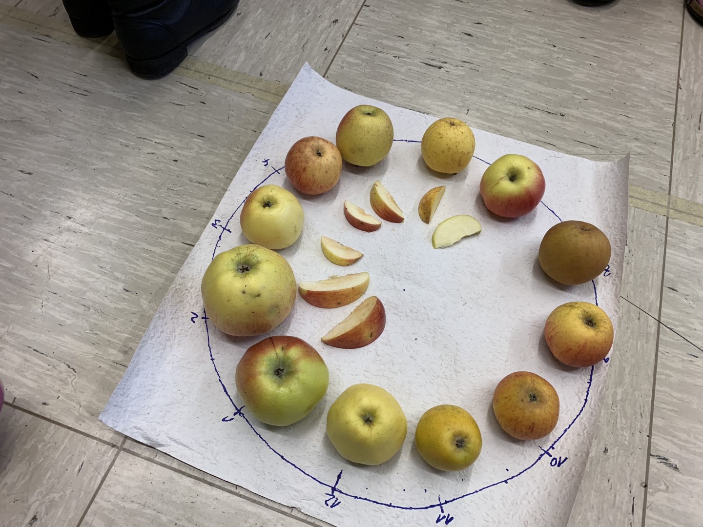 Streuobstwiesenprojekt 1