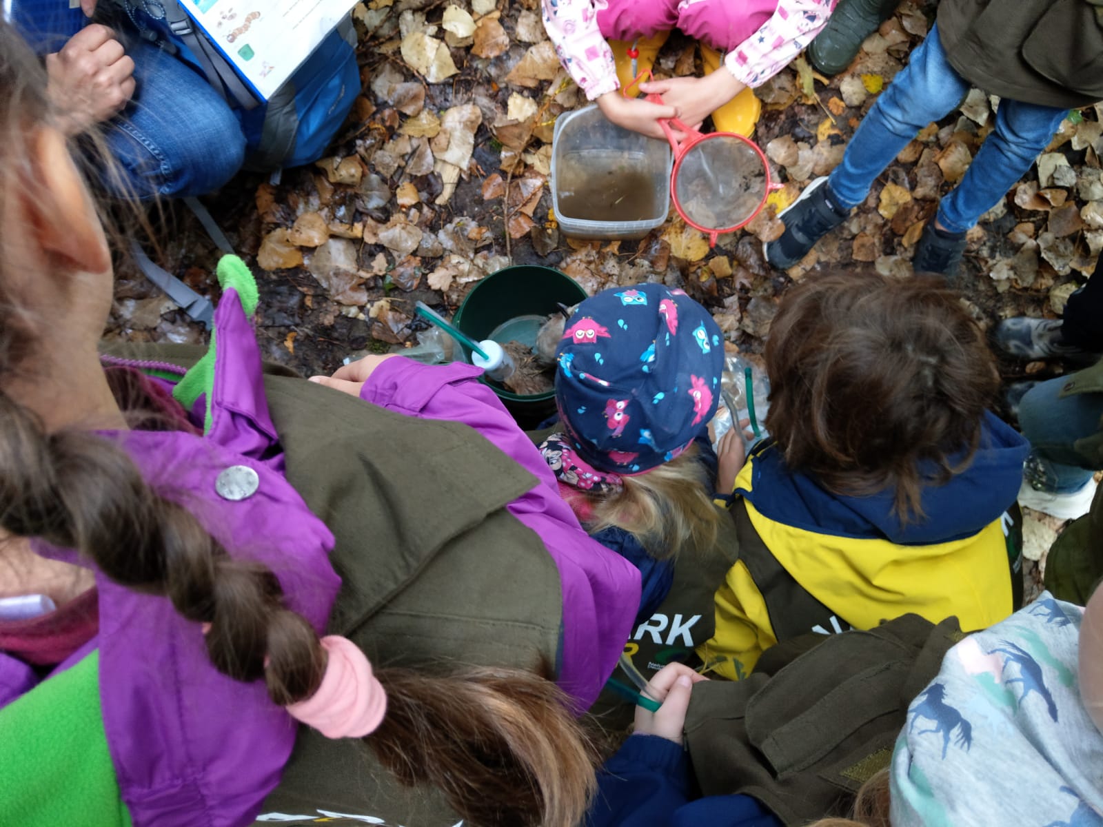 schnuppertour am bach 1