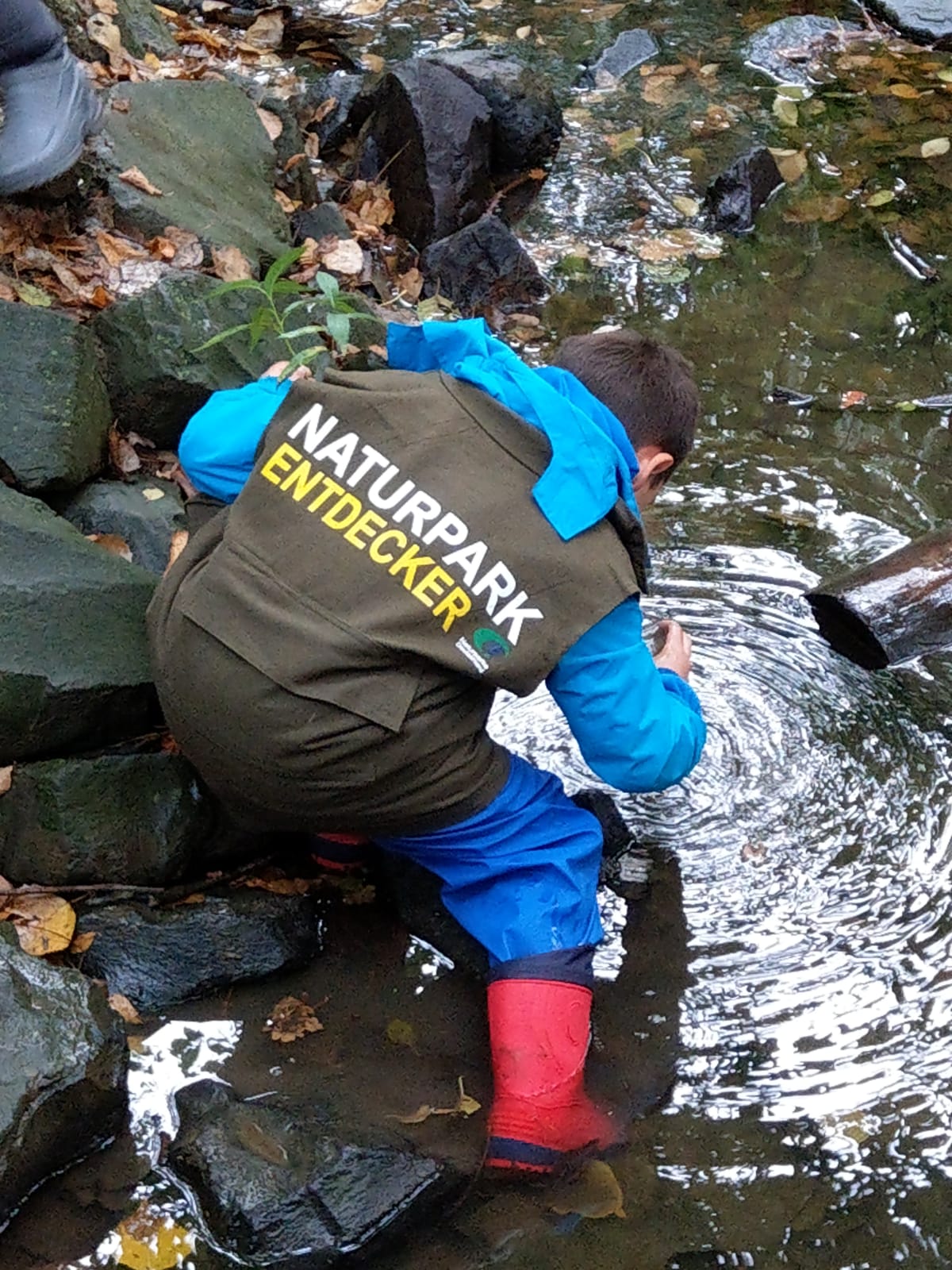 schnuppertour am bach 2