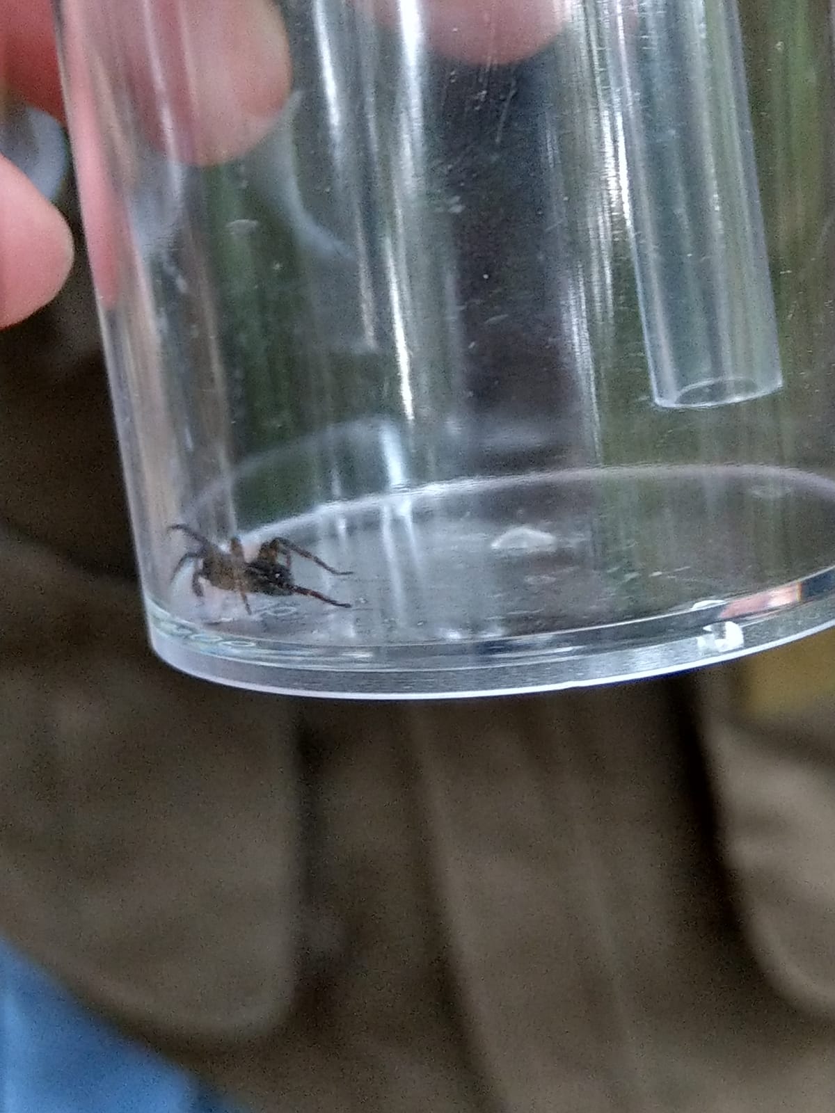 schnuppertour am bach 3