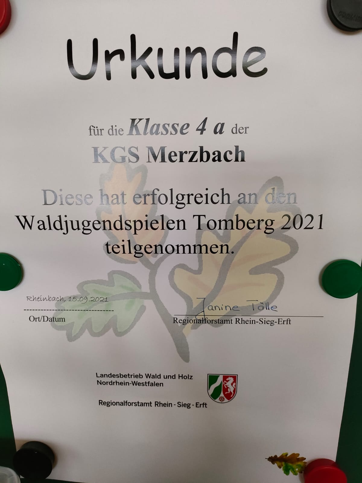 Waldjugendspiele 2